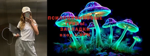 mdpv Вяземский