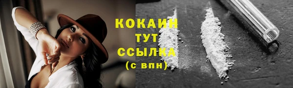 mdpv Вяземский