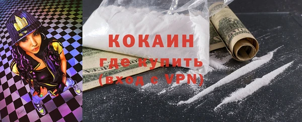 mdpv Вяземский