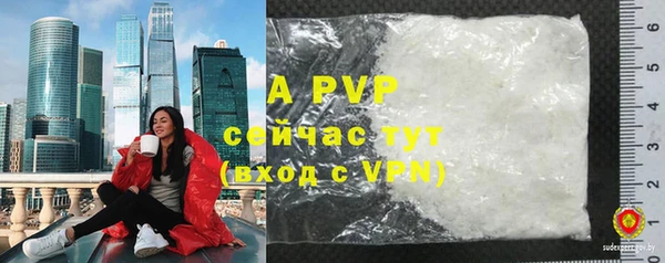бошки Данков