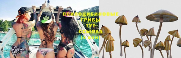 герыч Вязники
